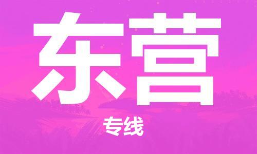 石家莊到東營(yíng)物流公司-普通貨物運(yùn)輸專(zhuān)線「服務(wù)周到」